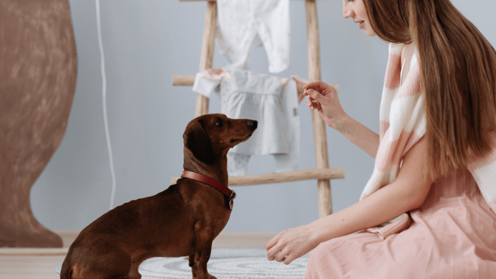 A person sitting with a dog sitting next to them