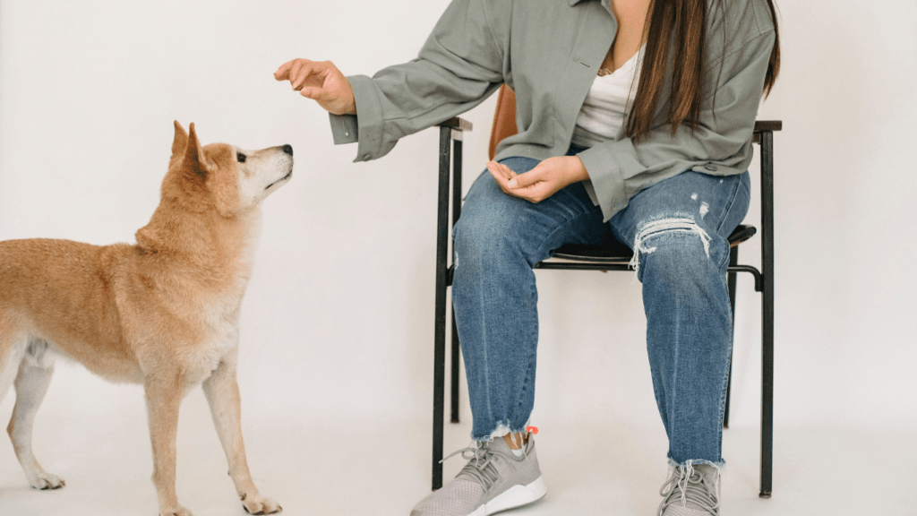 A person sitting with a dog sitting next to them