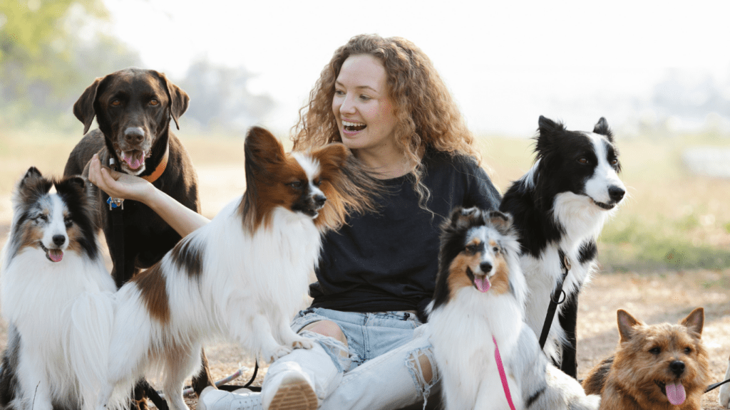 woman with lots of dogs