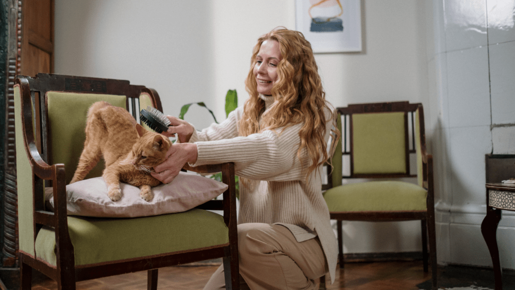 a person is petting a cat while sitting on a chair