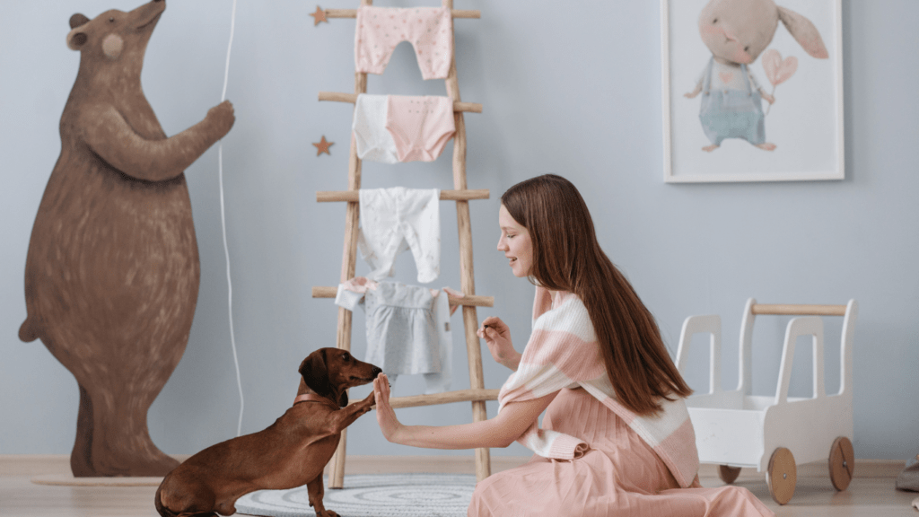 a person is playing with a dog in a room