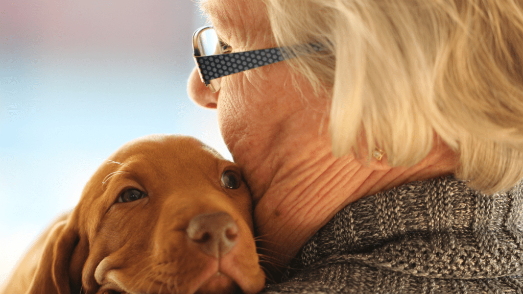 A person holding a puppy in their arms