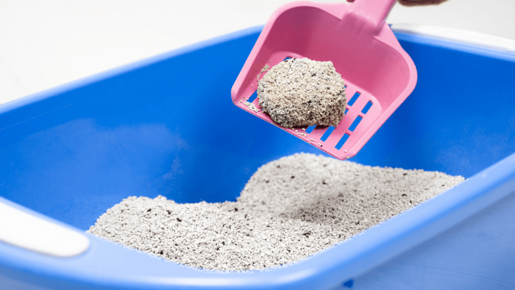 a person is scooping out sand from a litter box