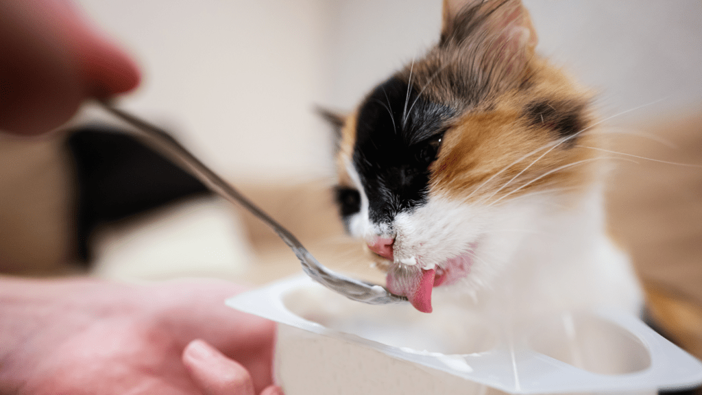 Unveiling Pet Nutrition Trends