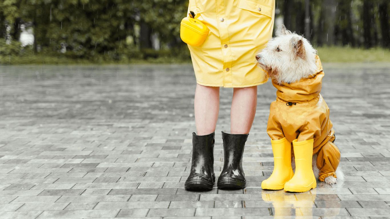 a person in a yellow raincoat and yellow rubber boots standing next to a dog in yellow rain boots