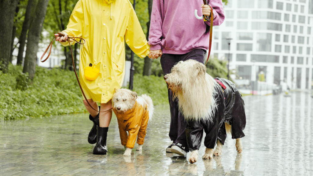 a person in a yellow raincoat and yellow rubber boots standing next to a dog in yellow rain boots