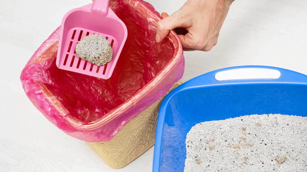 a person is scooping out sand from a litter box