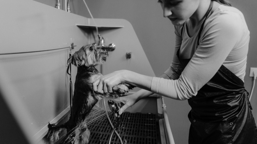 a person washing a dog in a sink