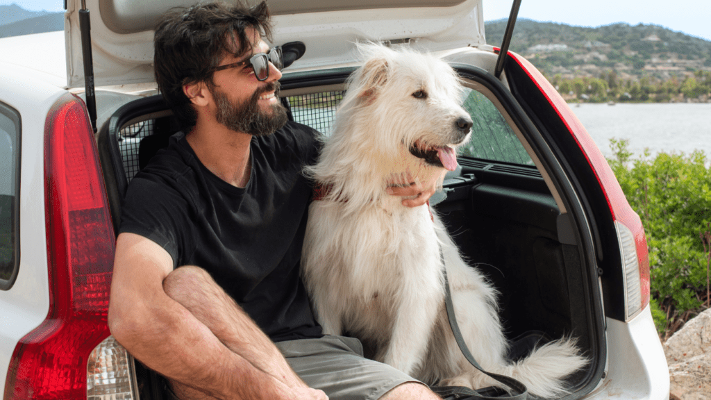 dogs sitting in the trunk of a car