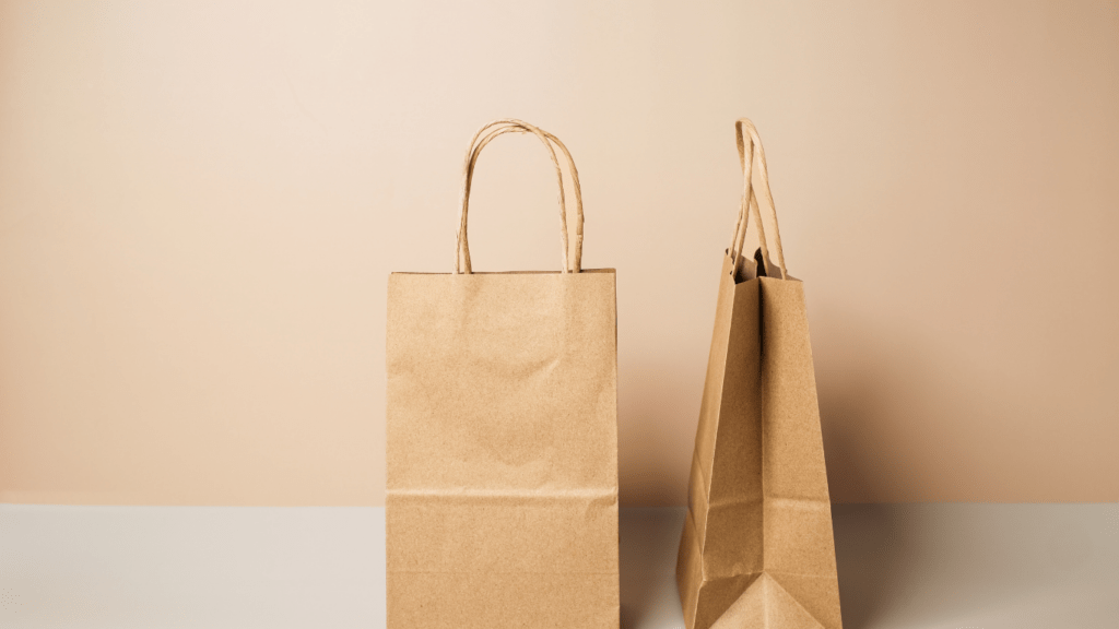 image of a eco bag