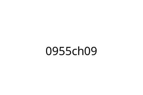 0955ch09