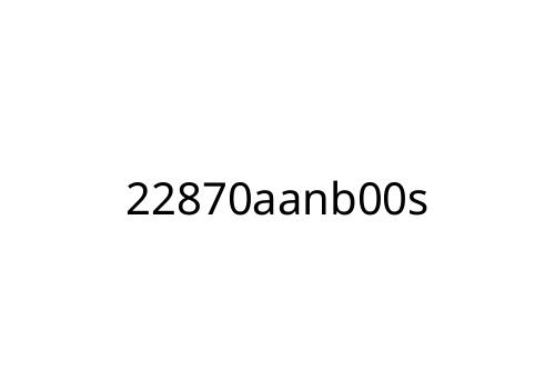 22870aanb00s