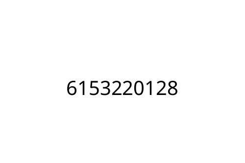 6153220128