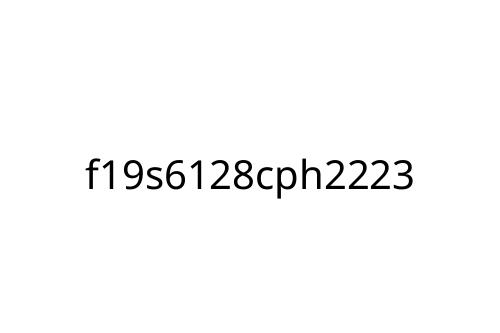 f19s6128cph2223