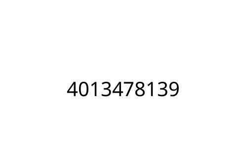 4013478139
