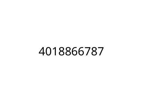 4018866787