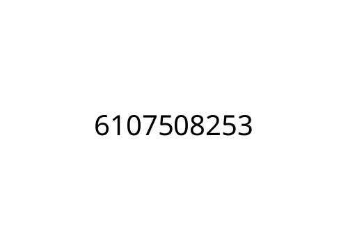 6107508253