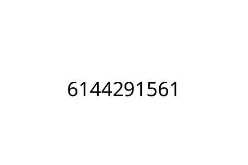 6144291561