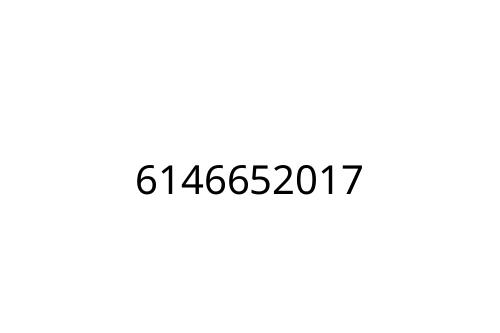 6146652017