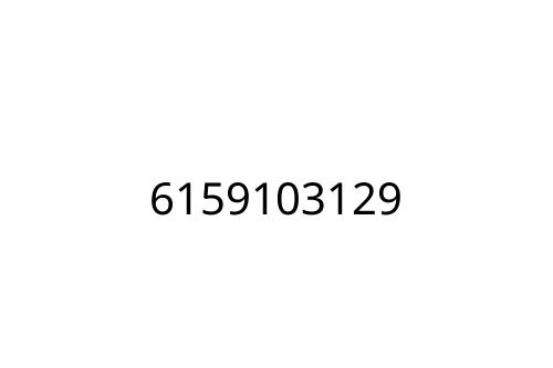 6159103129