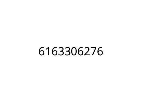 6163306276