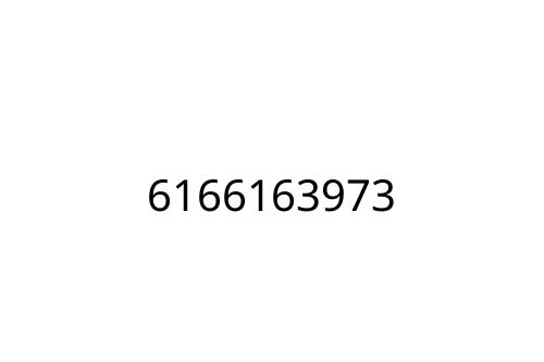 6166163973