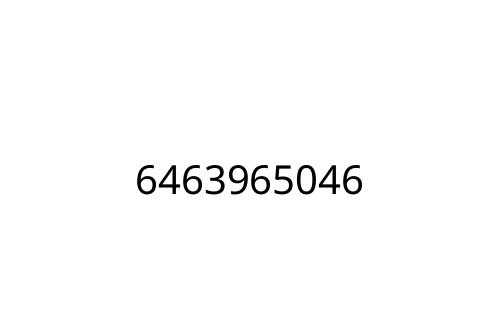 6463965046