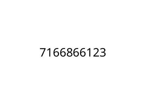7166866123