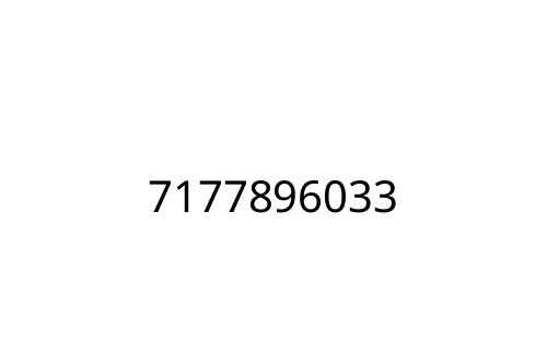 7177896033