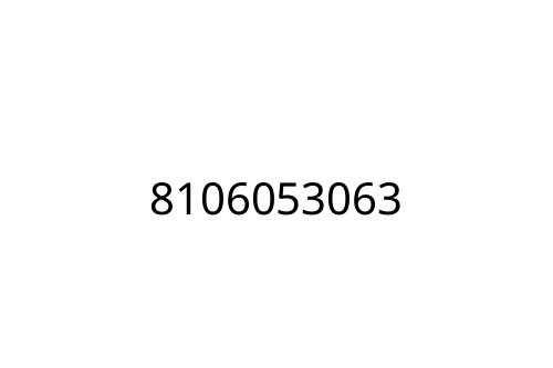 8106053063
