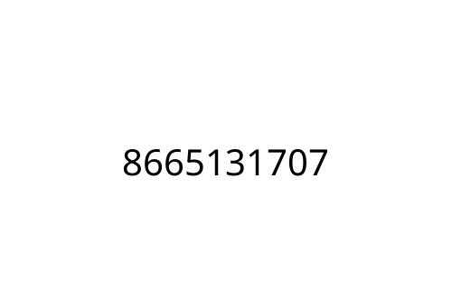 8665131707