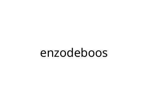 enzodeboos