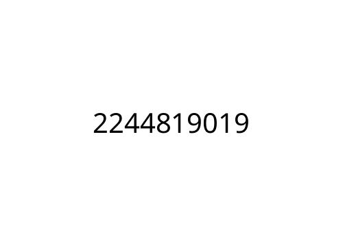 2244819019