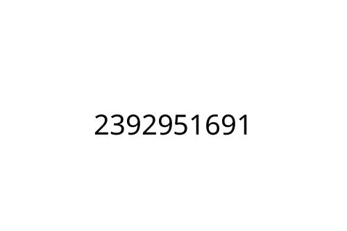 2392951691