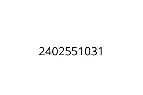 2402551031