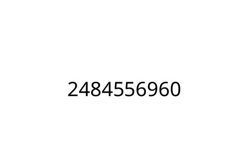 2484556960