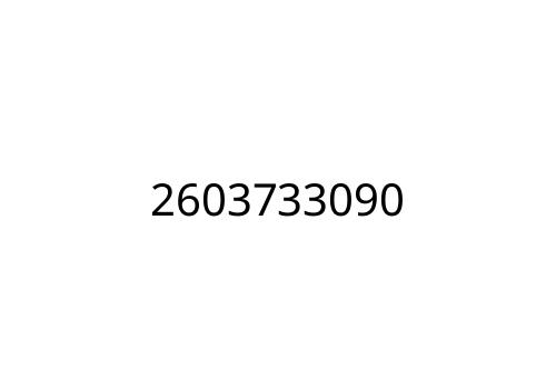 2603733090