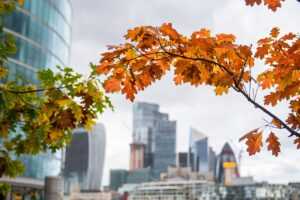 deposit per accommodation per stay meaning