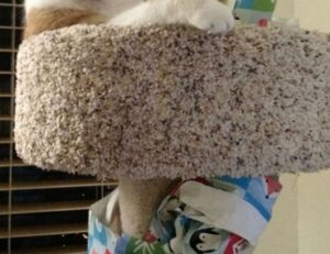 why updating immorpos35.3 software is important