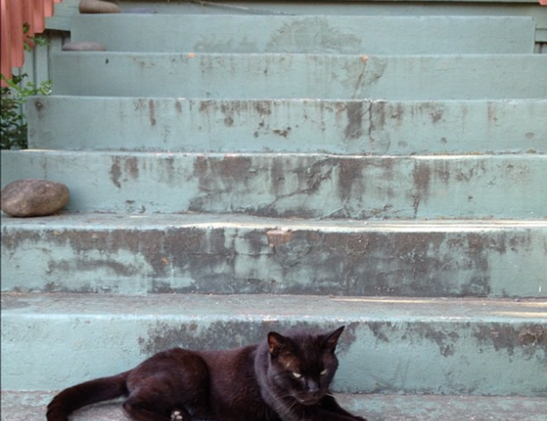 loki temporada 2 cuevana