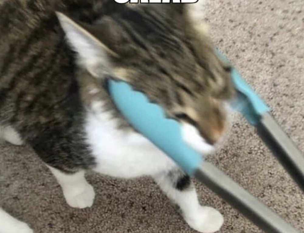 riderkoo roblox skin