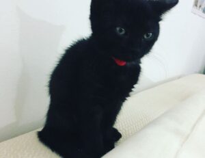 tatuaje pe deget cu initiale