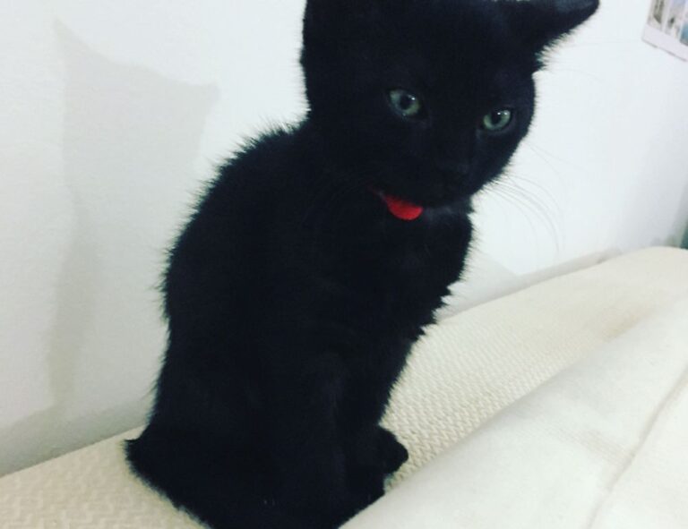 tatuaje pe deget cu initiale