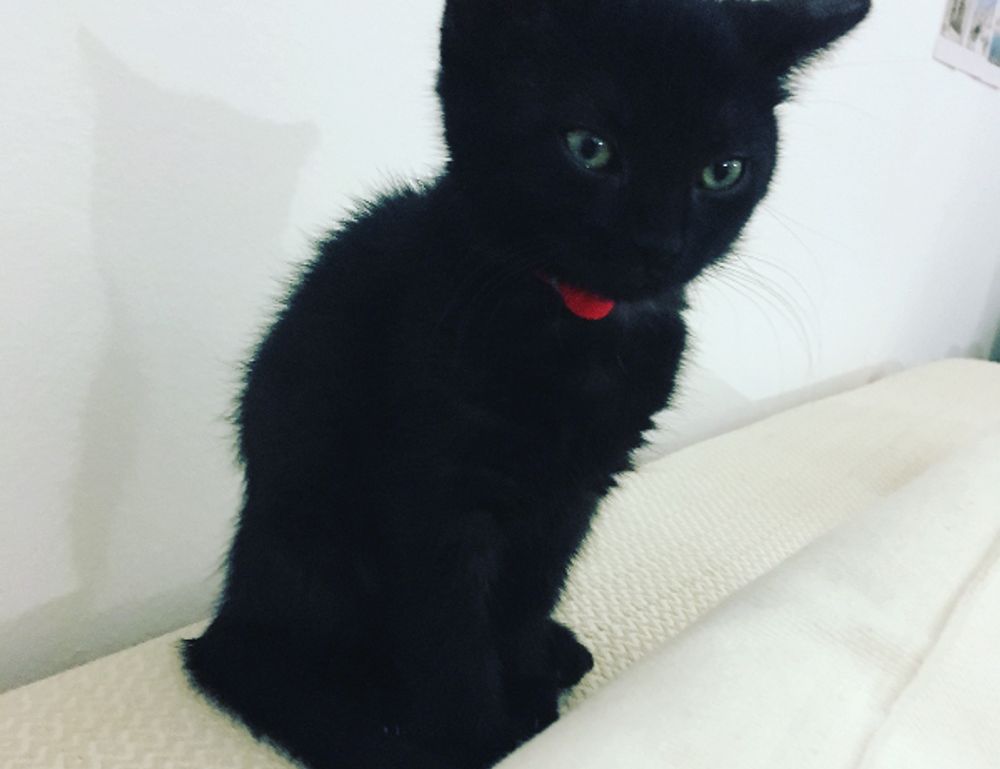 tatuaje pe deget cu initiale