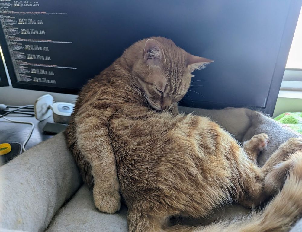 taylor swift ugly photos