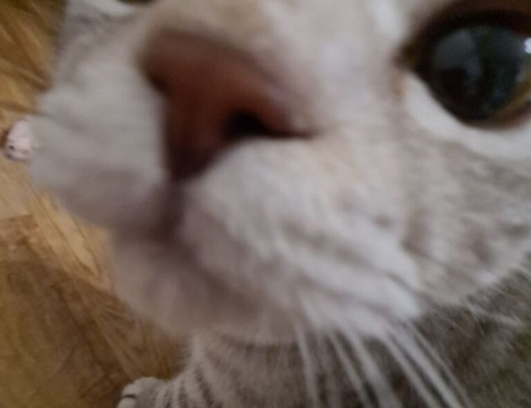 tony barber net worth