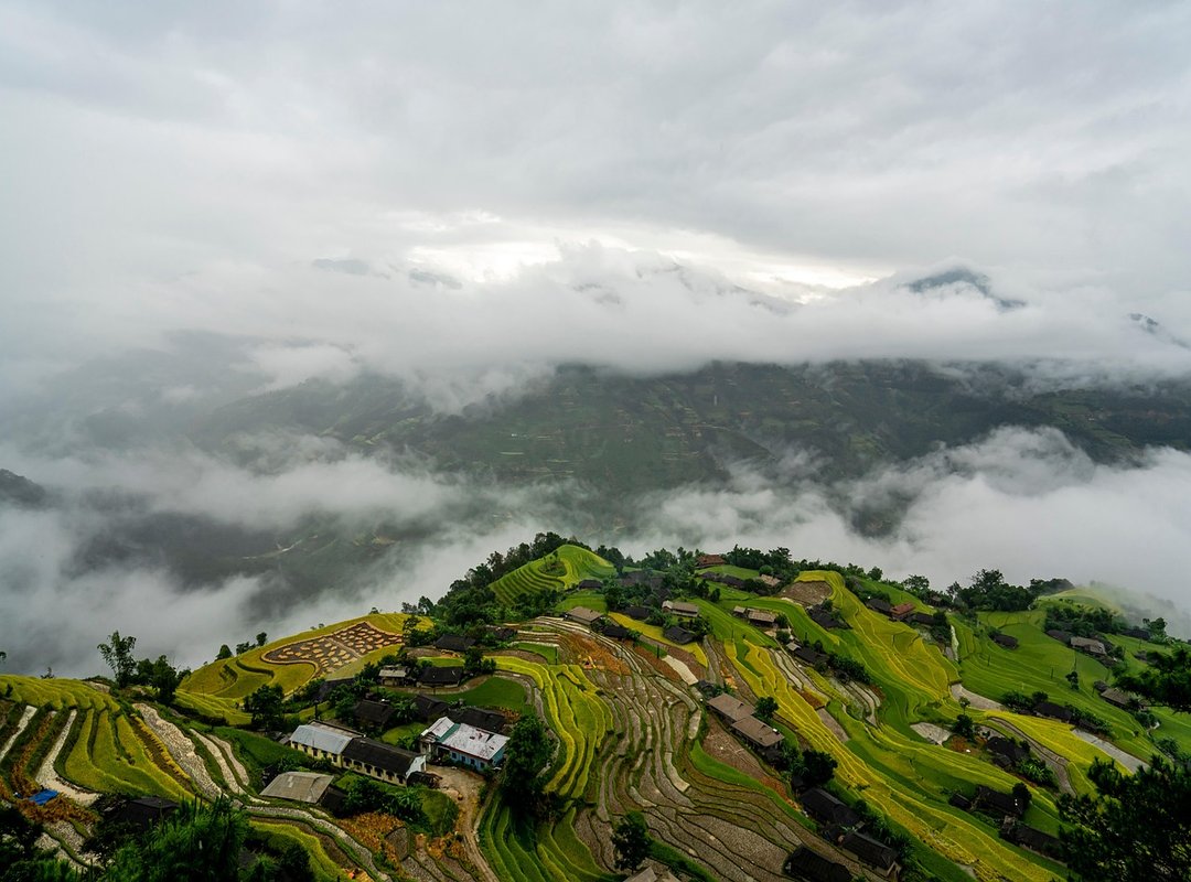 Infoguide for Birds Llblogpet