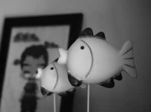 Llblogpet Advice for Fish