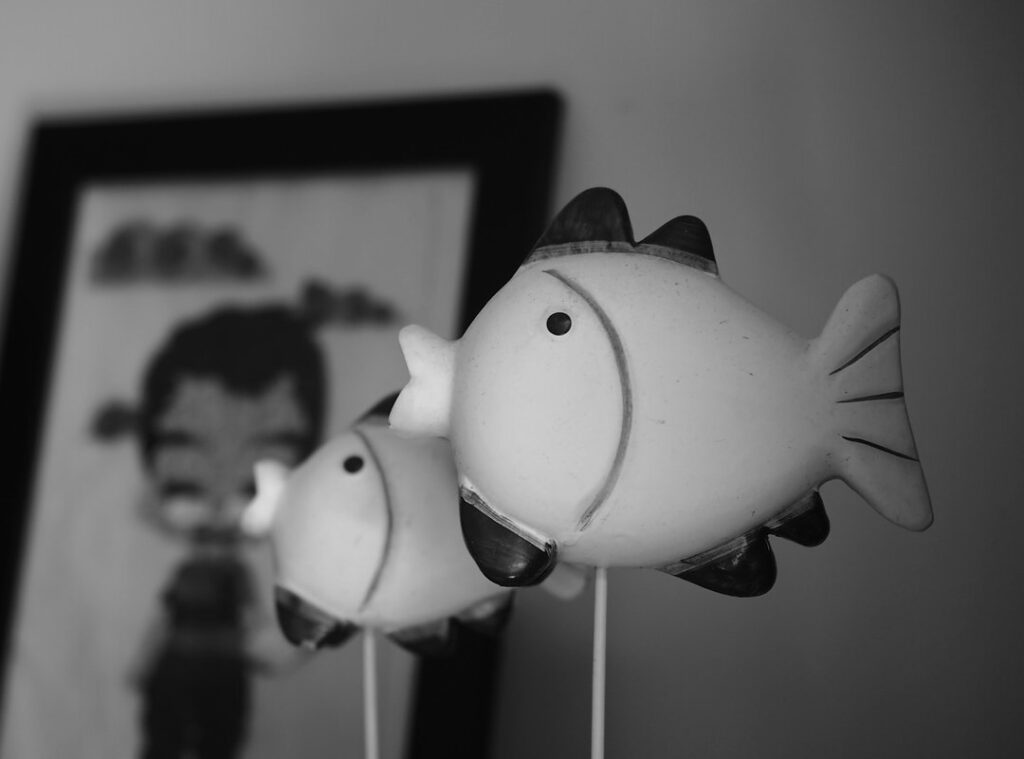 Llblogpet Advice for Fish