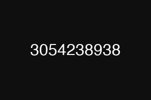 3054238938